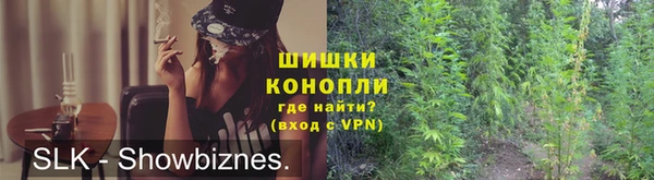 молекула духа Дмитровск
