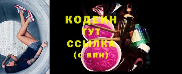 молекула духа Дмитровск