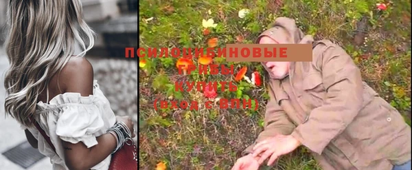 ешки Дмитров